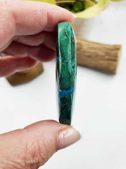 Chrysocolla Palm