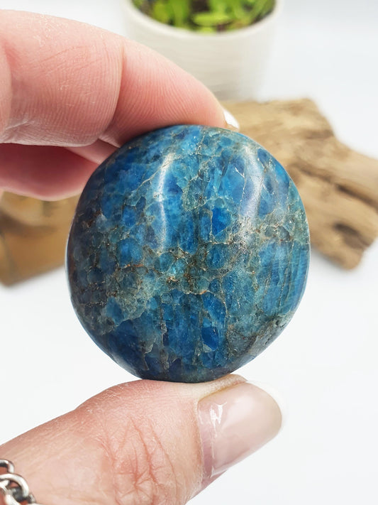 Round Blue Apatite Palm