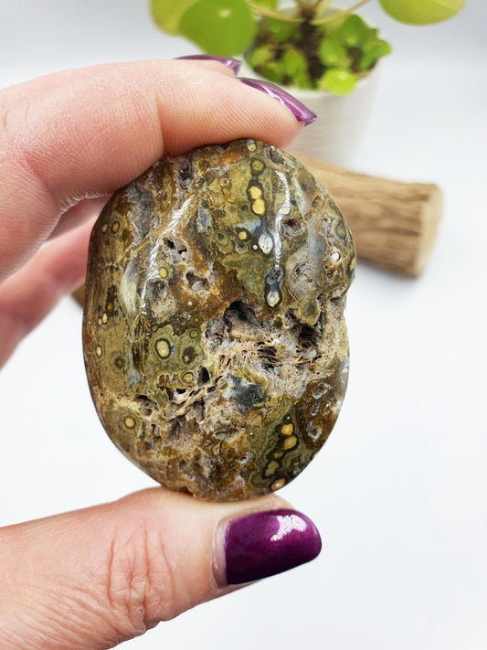 Ocean Jasper Palm