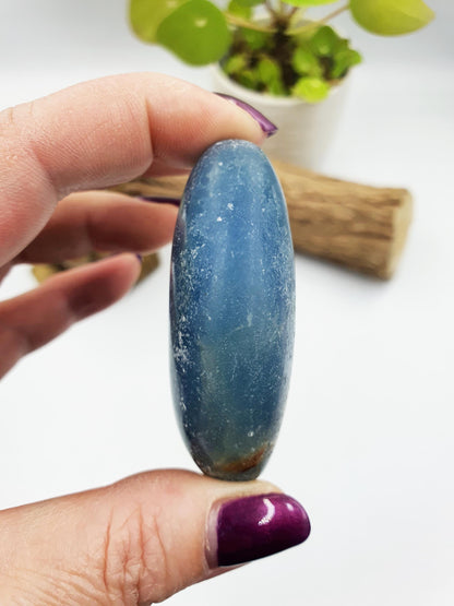 Blue Onyx Palm