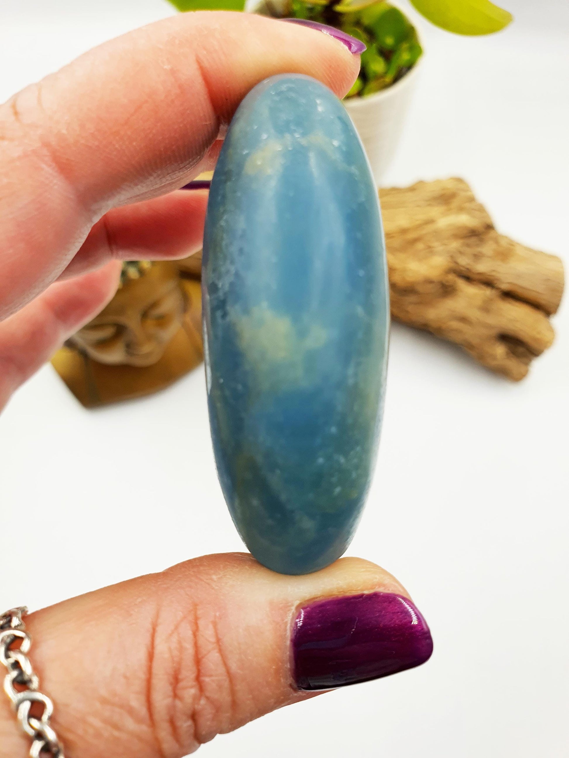 Blue Onyx Palm