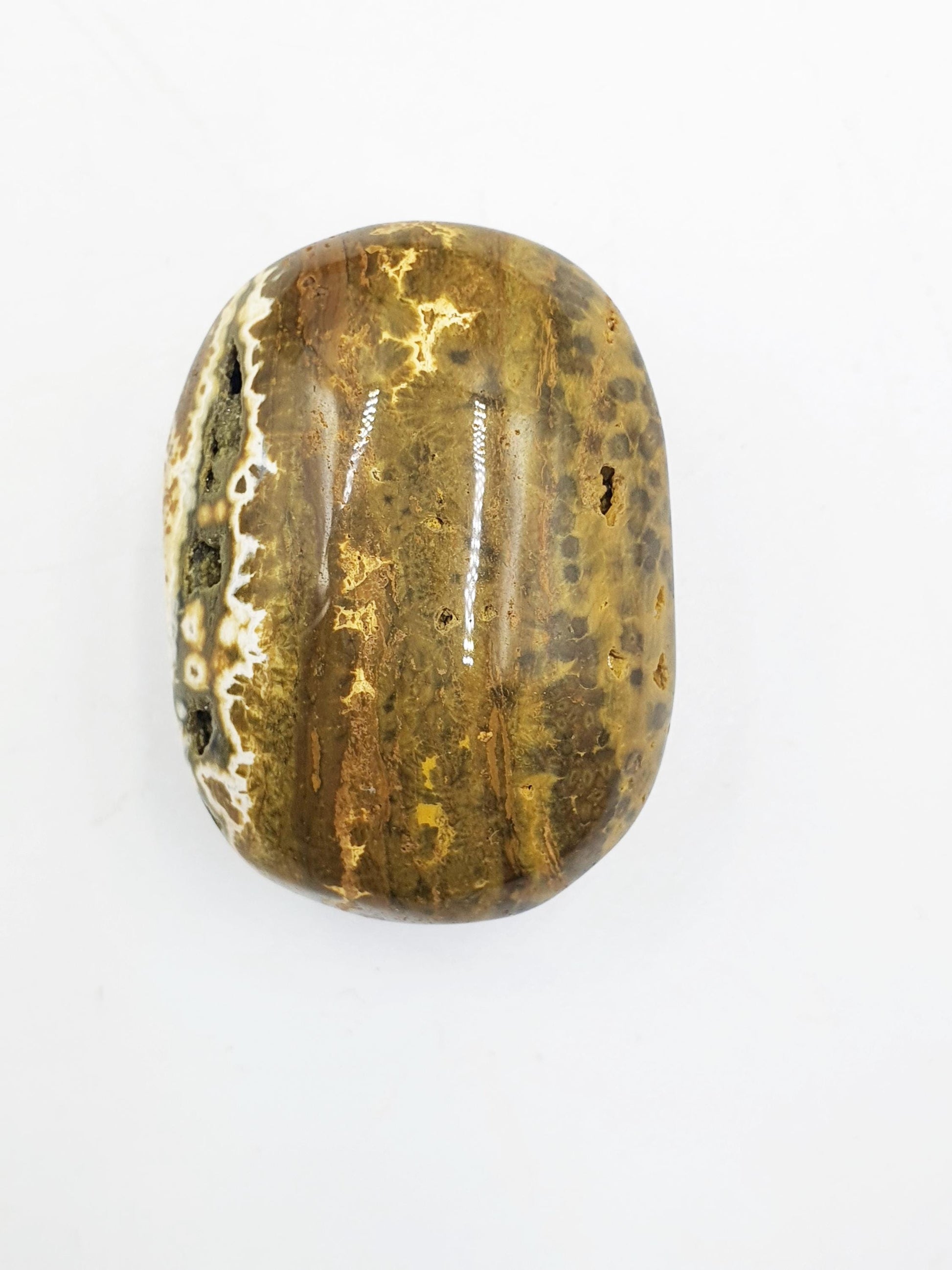 Ocean Jasper Palm