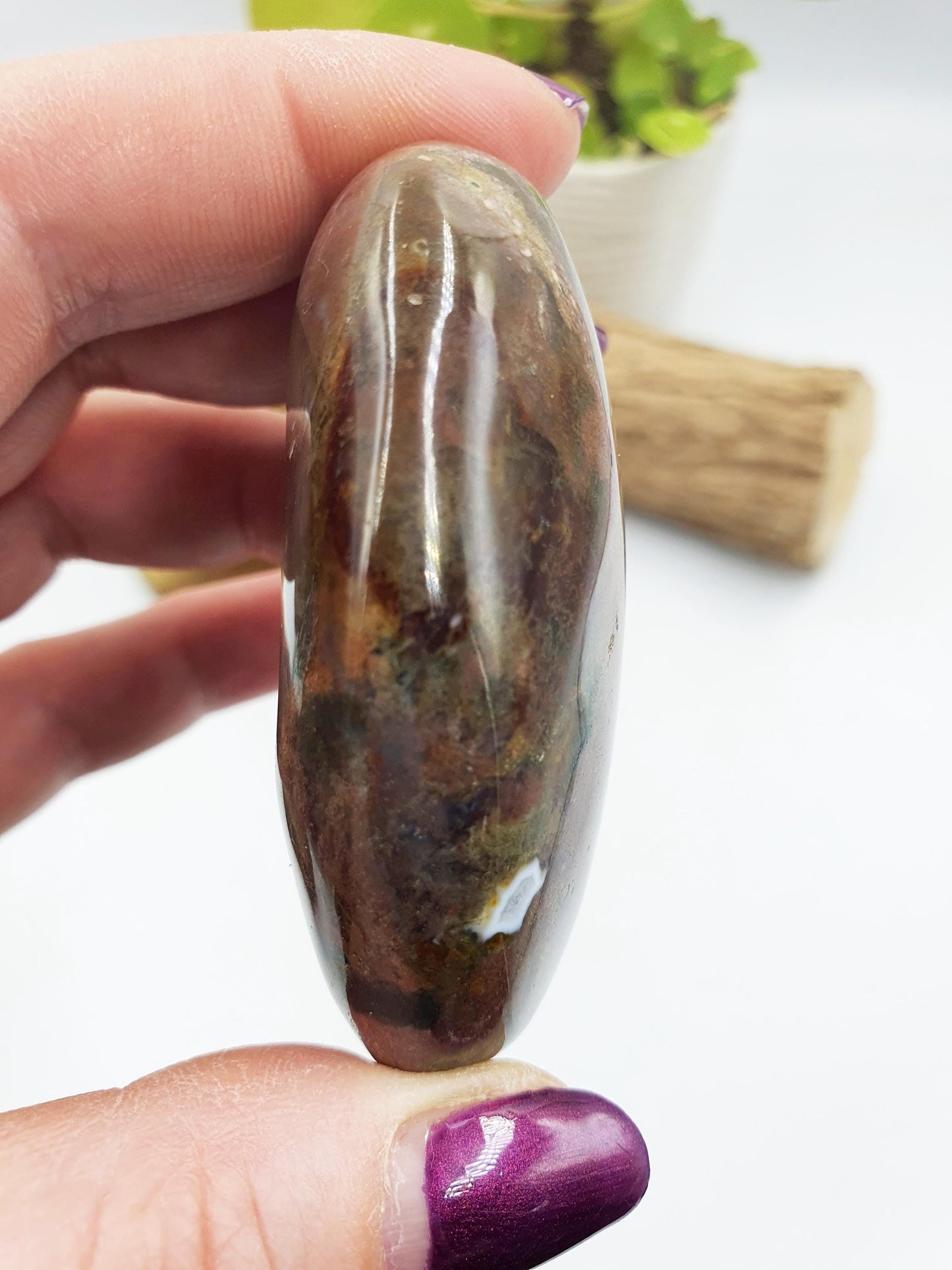 Ocean Jasper Palm