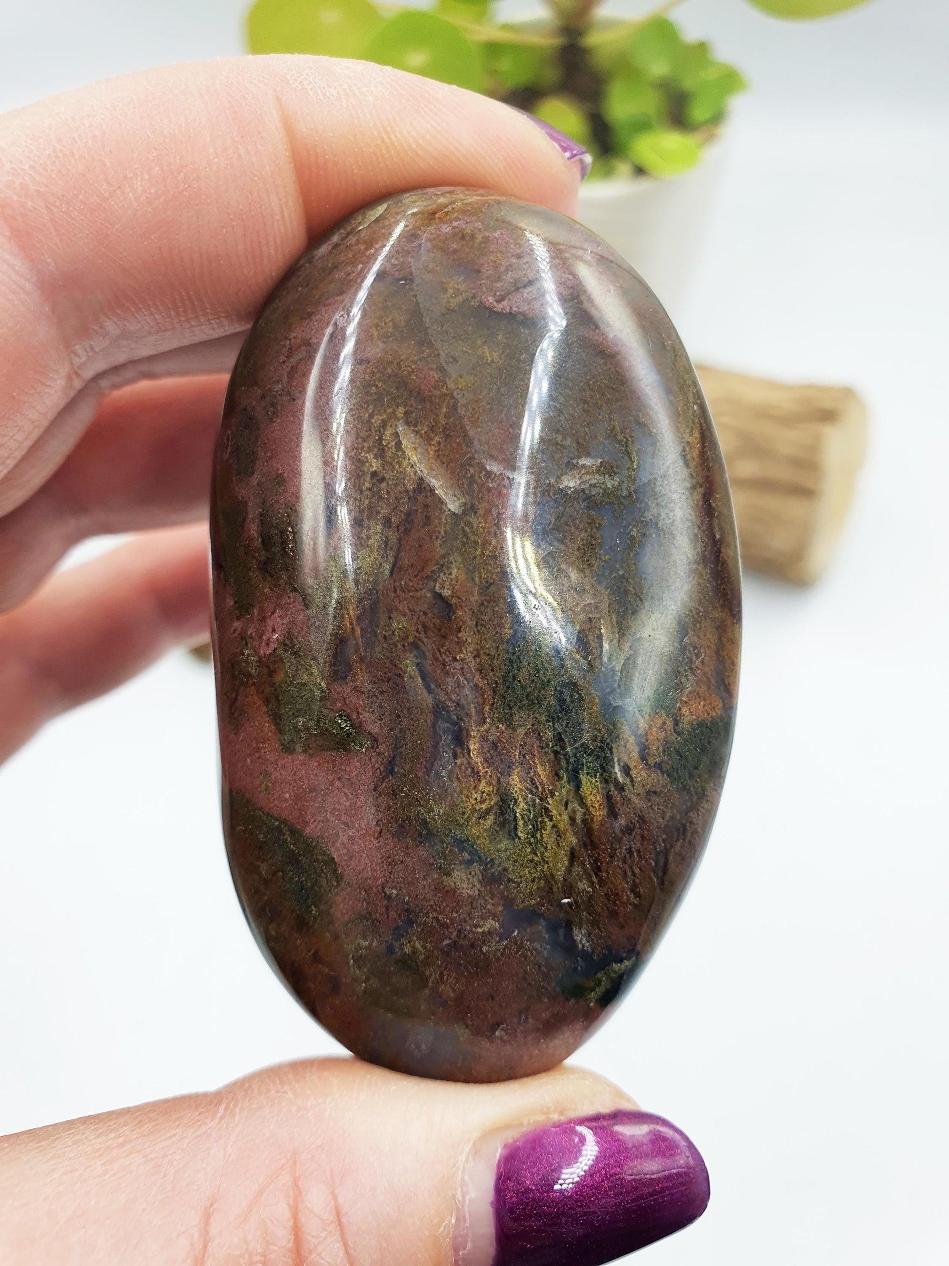 Ocean Jasper Palm