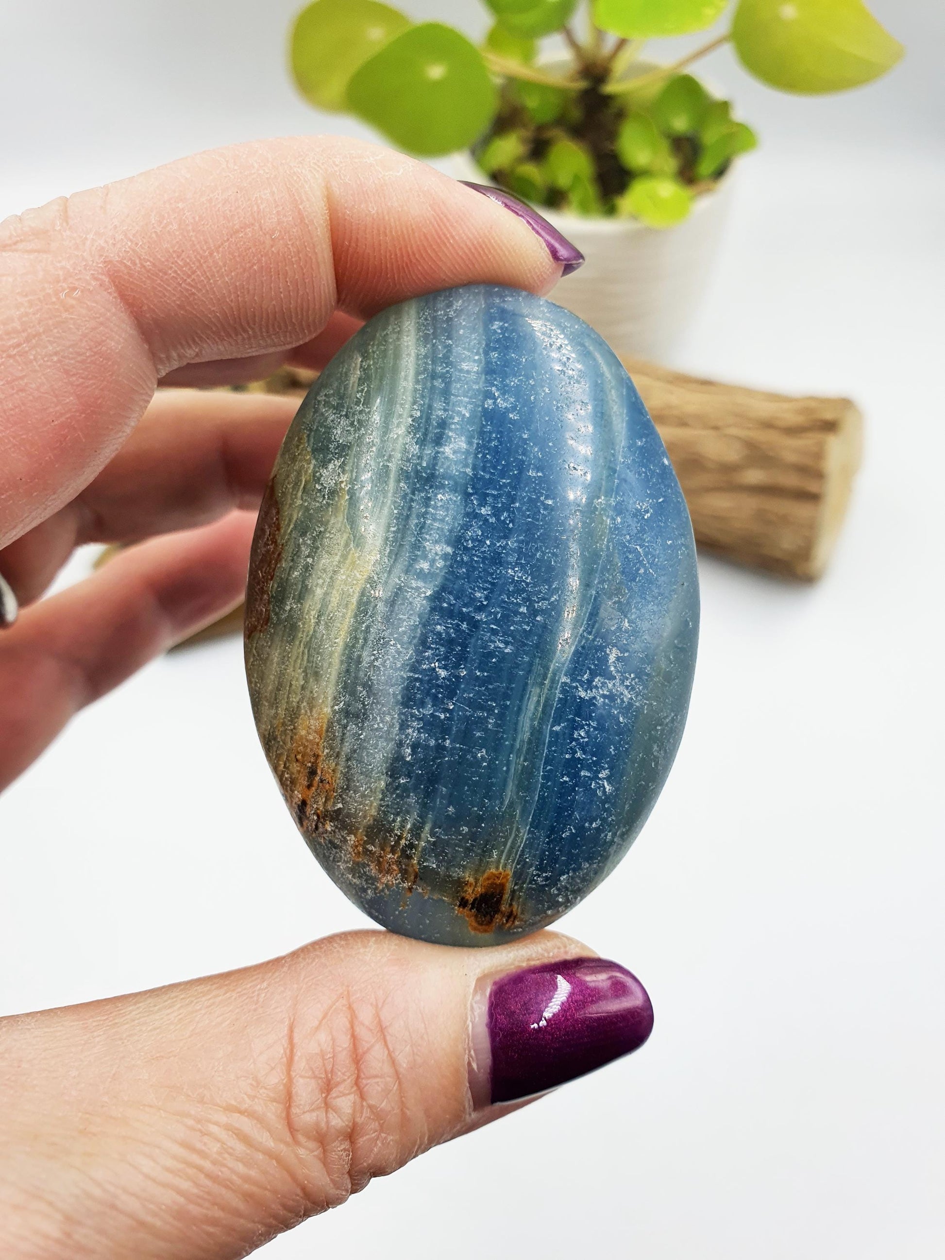 Blue Onyx Palm