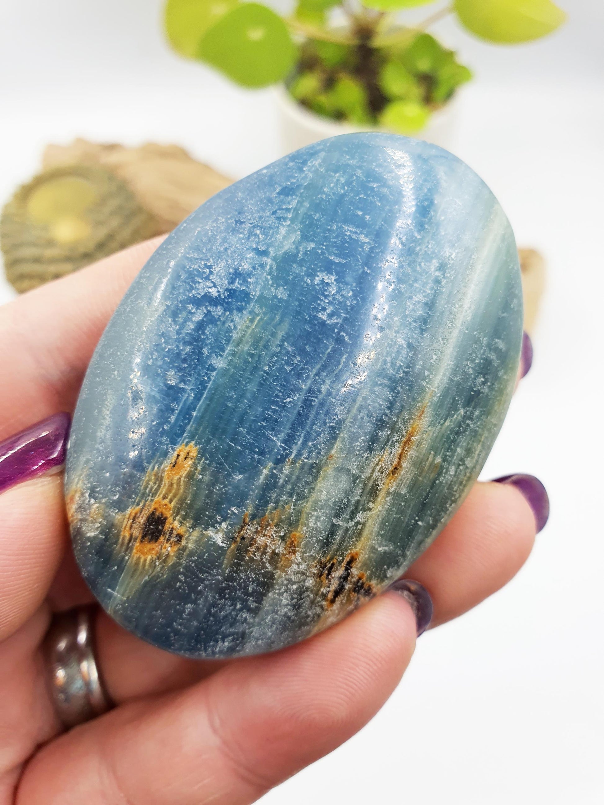 Blue Onyx Palm