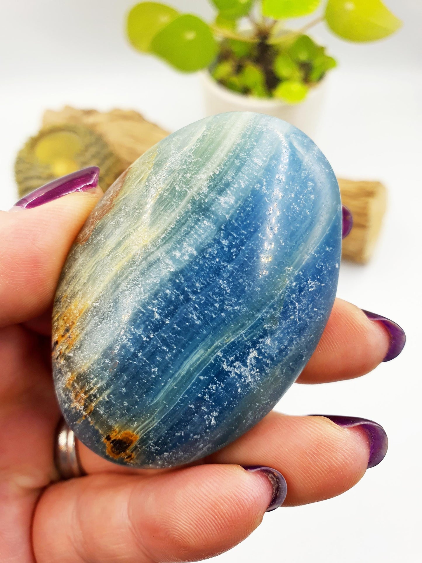 Blue Onyx Palm