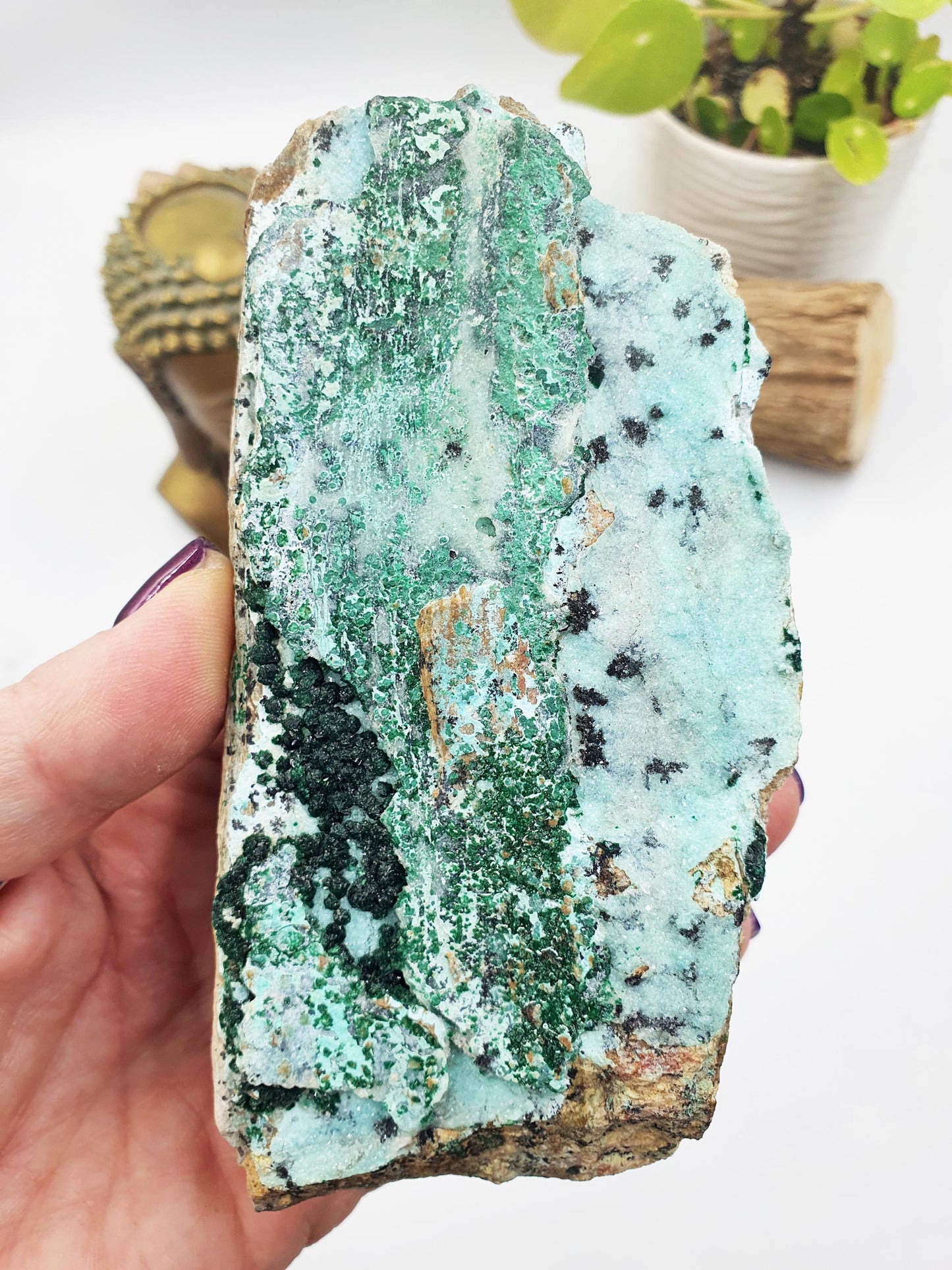 Chrysocolla & Malachite Specimens / Druzy Coated Chrysocolla and Malachite Raw Crystal / Raw Chrysocolla / Raw Malachite / Druzy Crystal