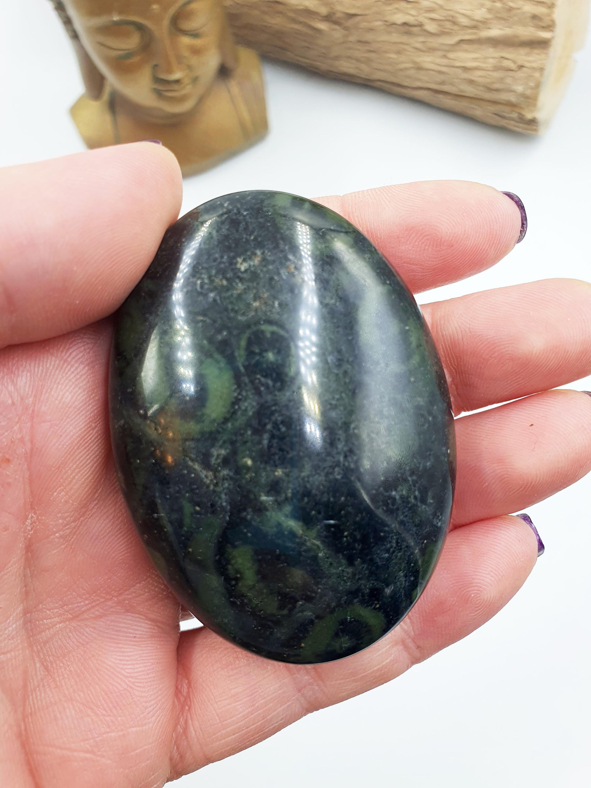 Kambaba Jasper Palm