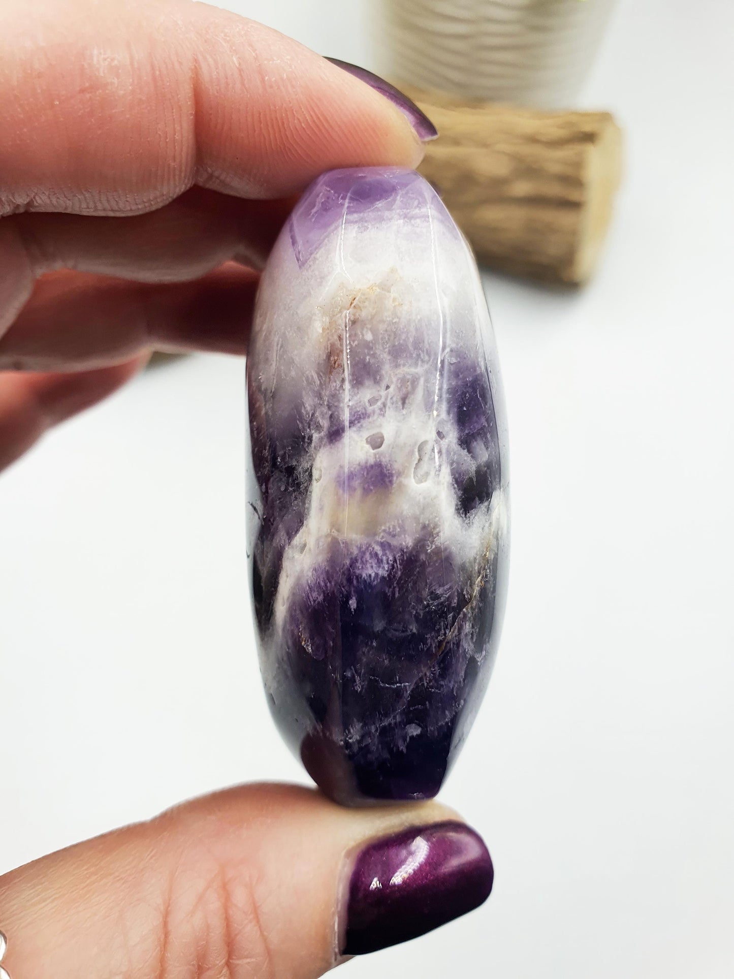 Dream Amethyst Palm