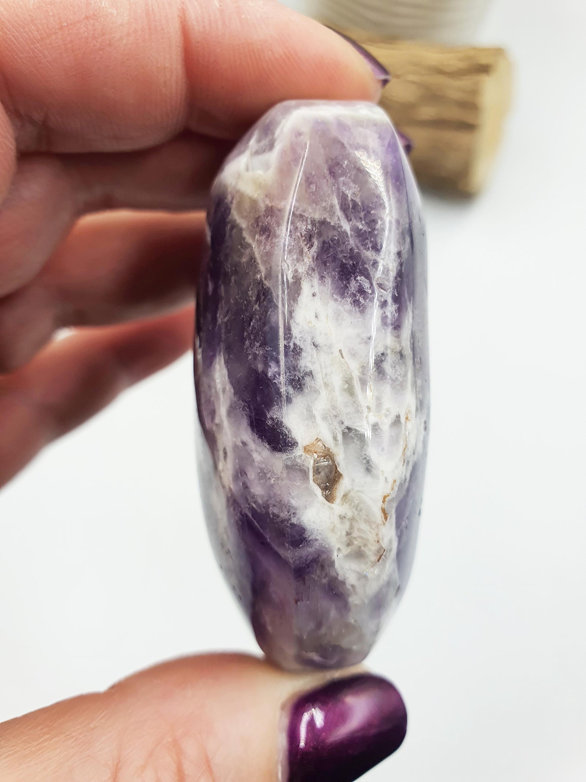 Dream Amethyst Palm