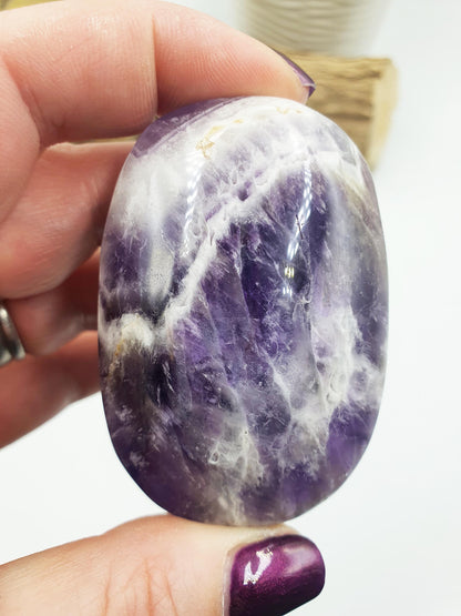 Dream Amethyst Palm