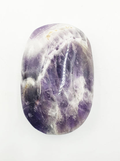 Dream Amethyst Palm