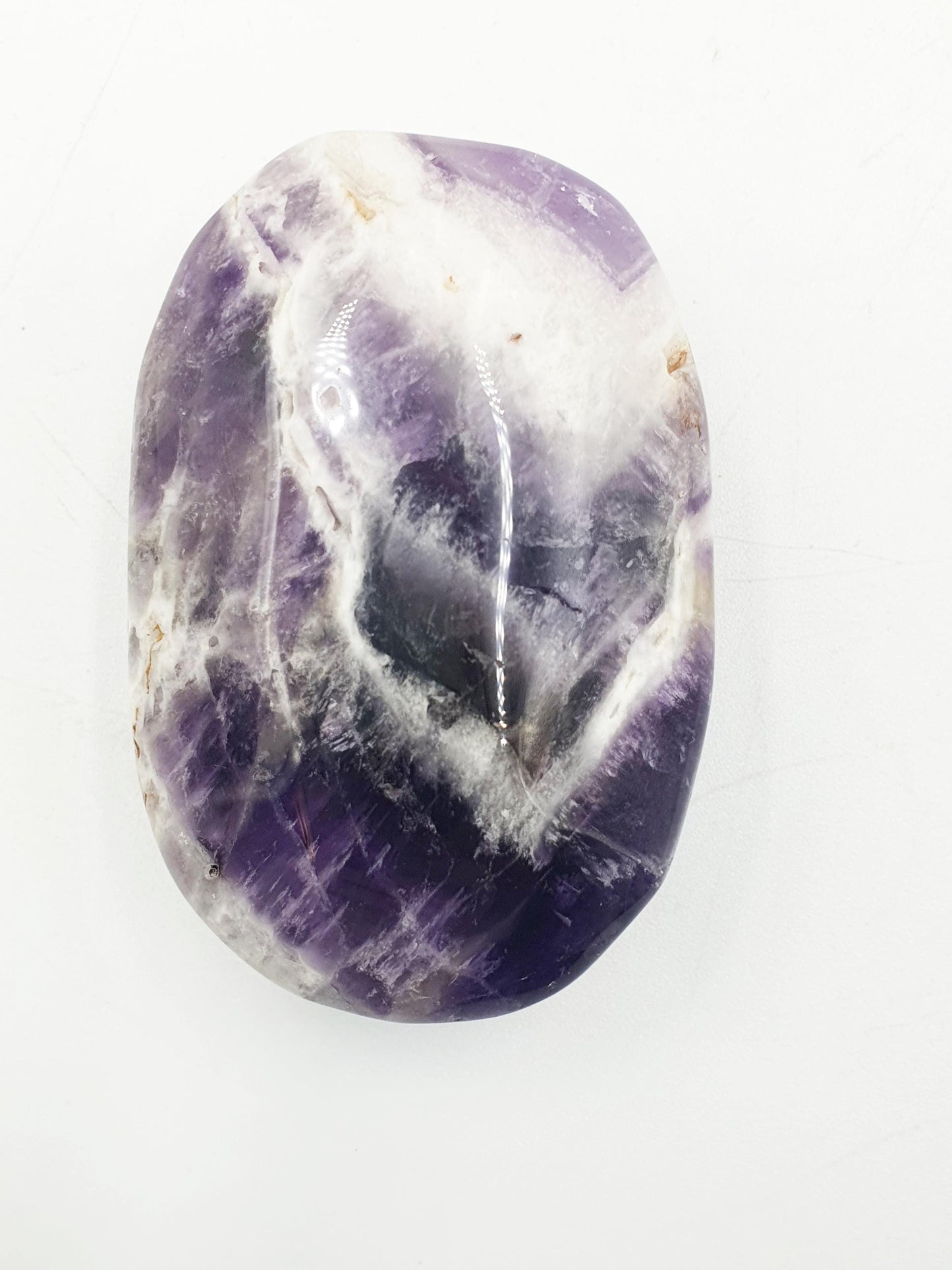 Dream Amethyst Palm