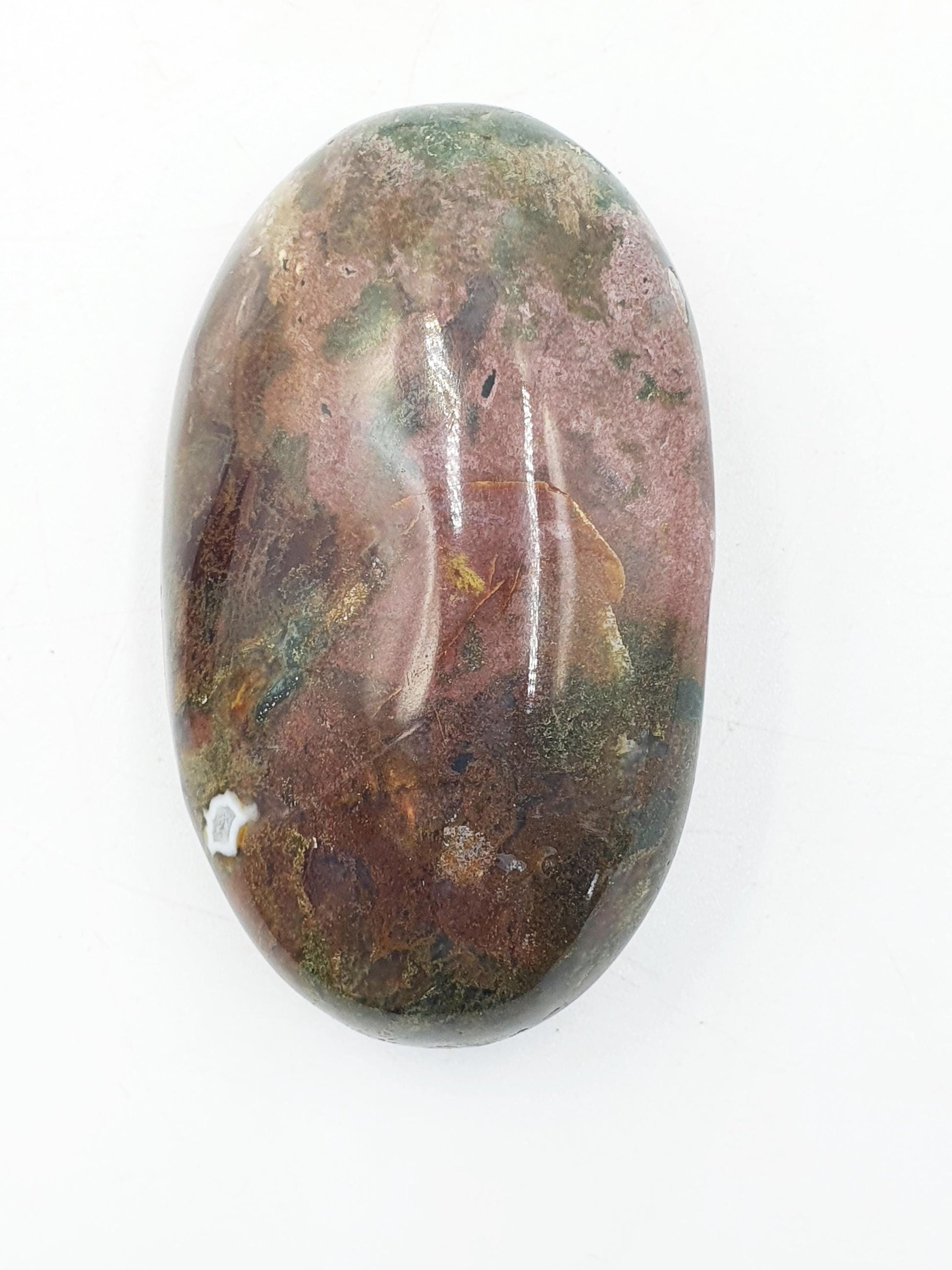 Ocean Jasper Palm