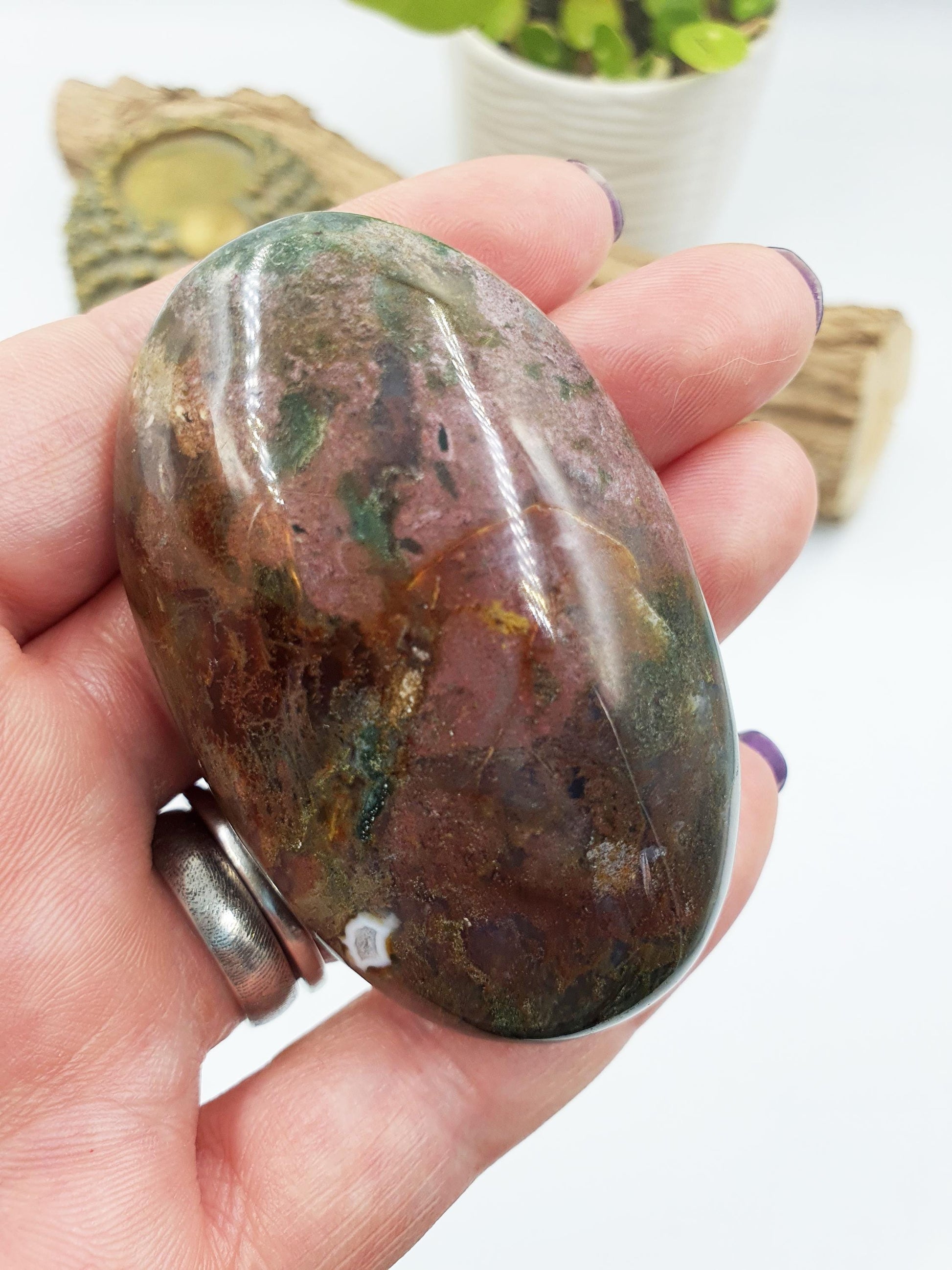 Ocean Jasper Palm