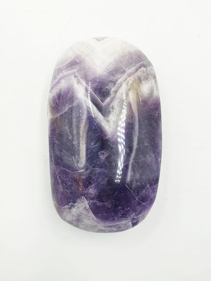 Dream Amethyst Palm