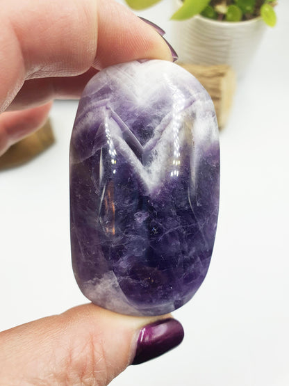 Dream Amethyst Palm