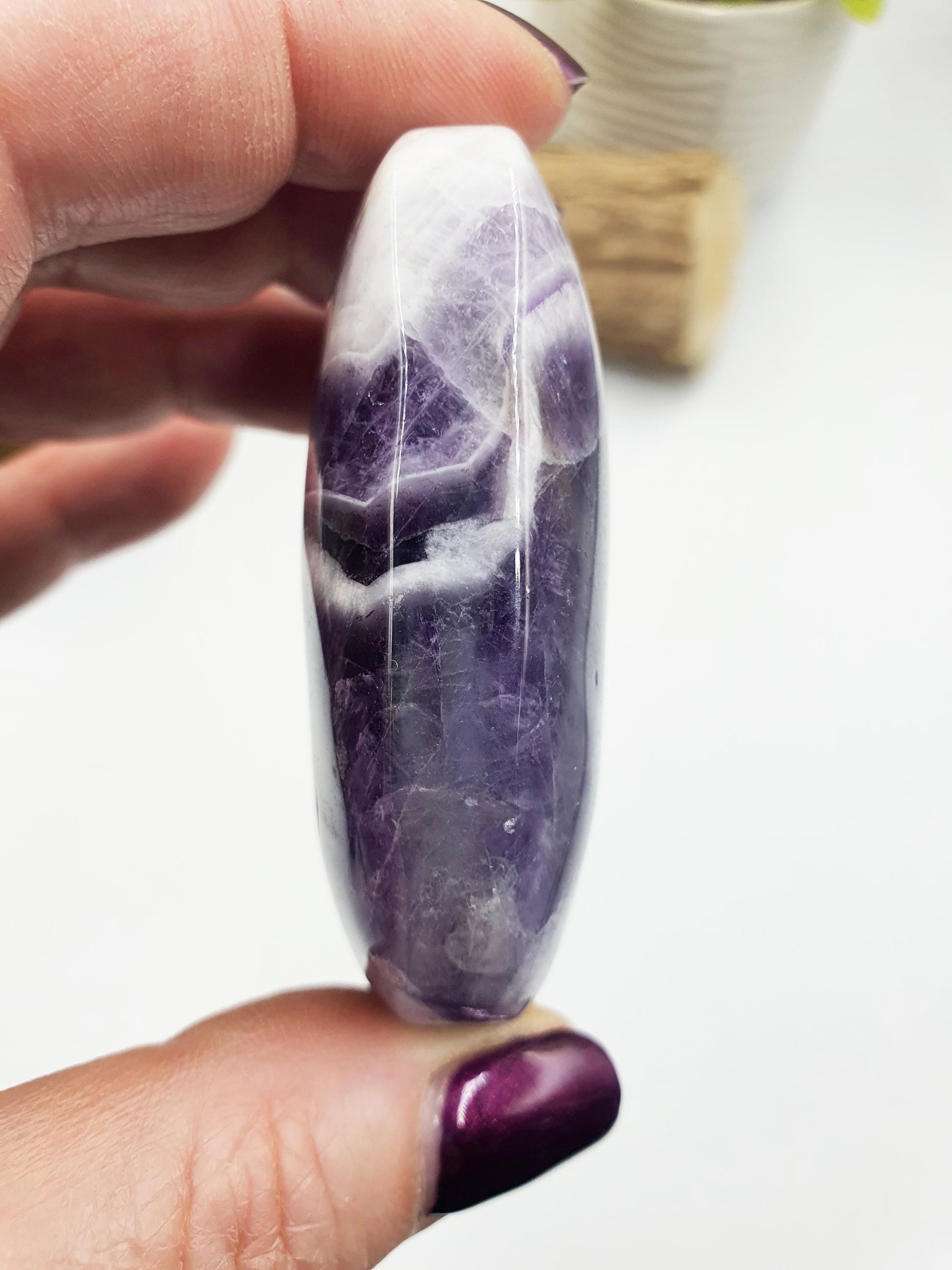 Dream Amethyst Palm