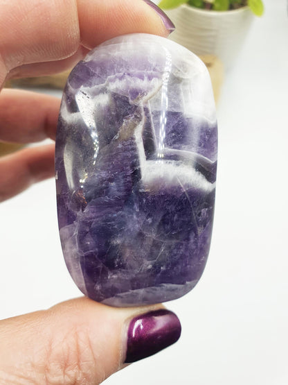 Dream Amethyst Palm