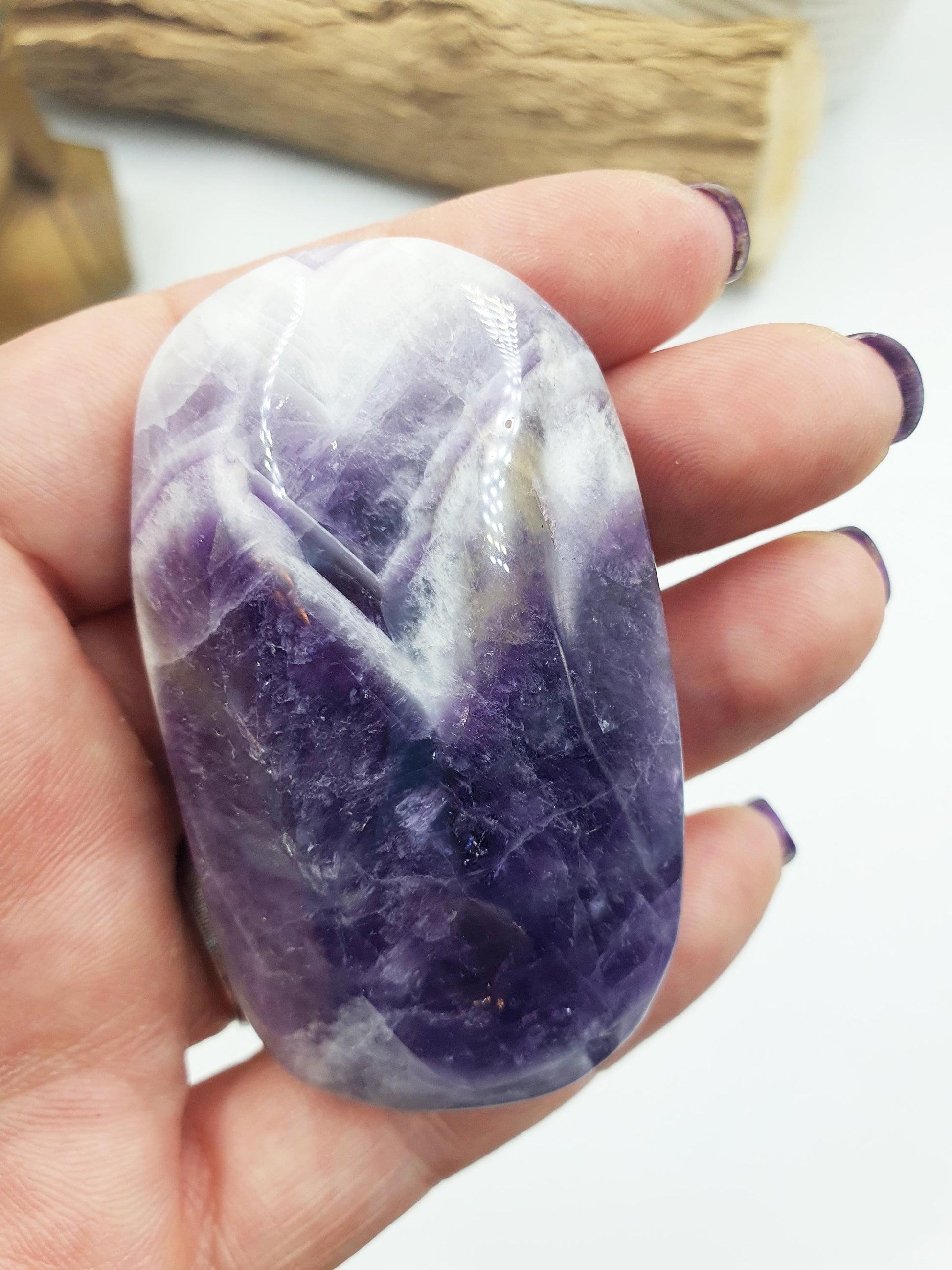 Dream Amethyst Palm