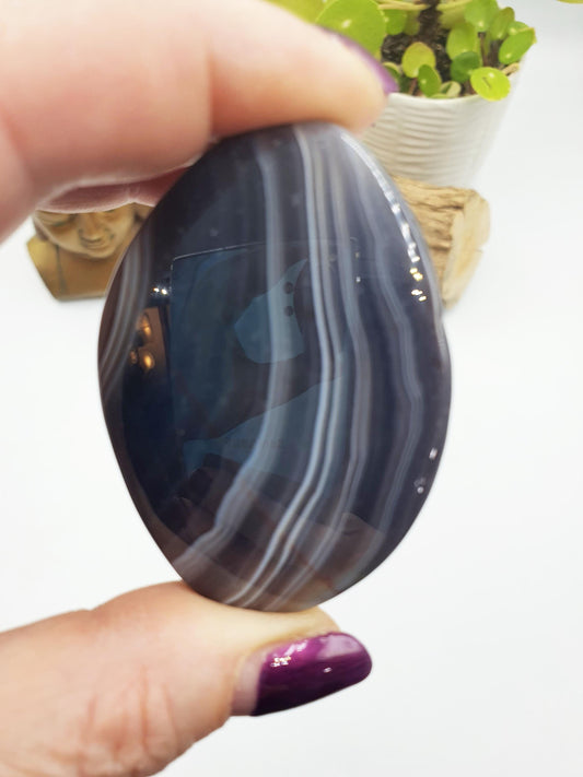 Botswana Agate Palm