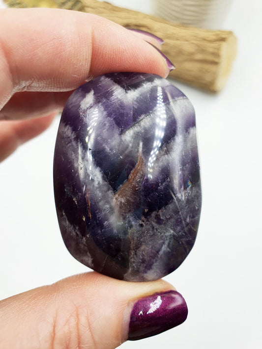 Dream Amethyst Palm