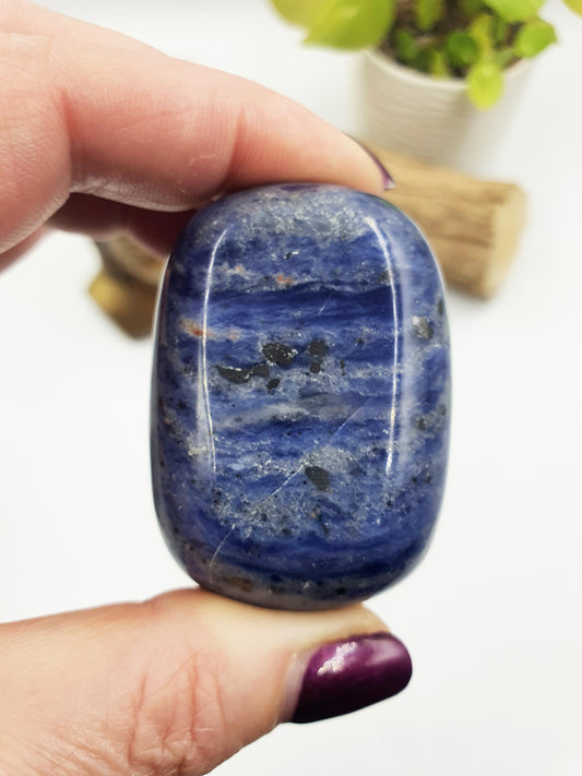 Sodalite Palm