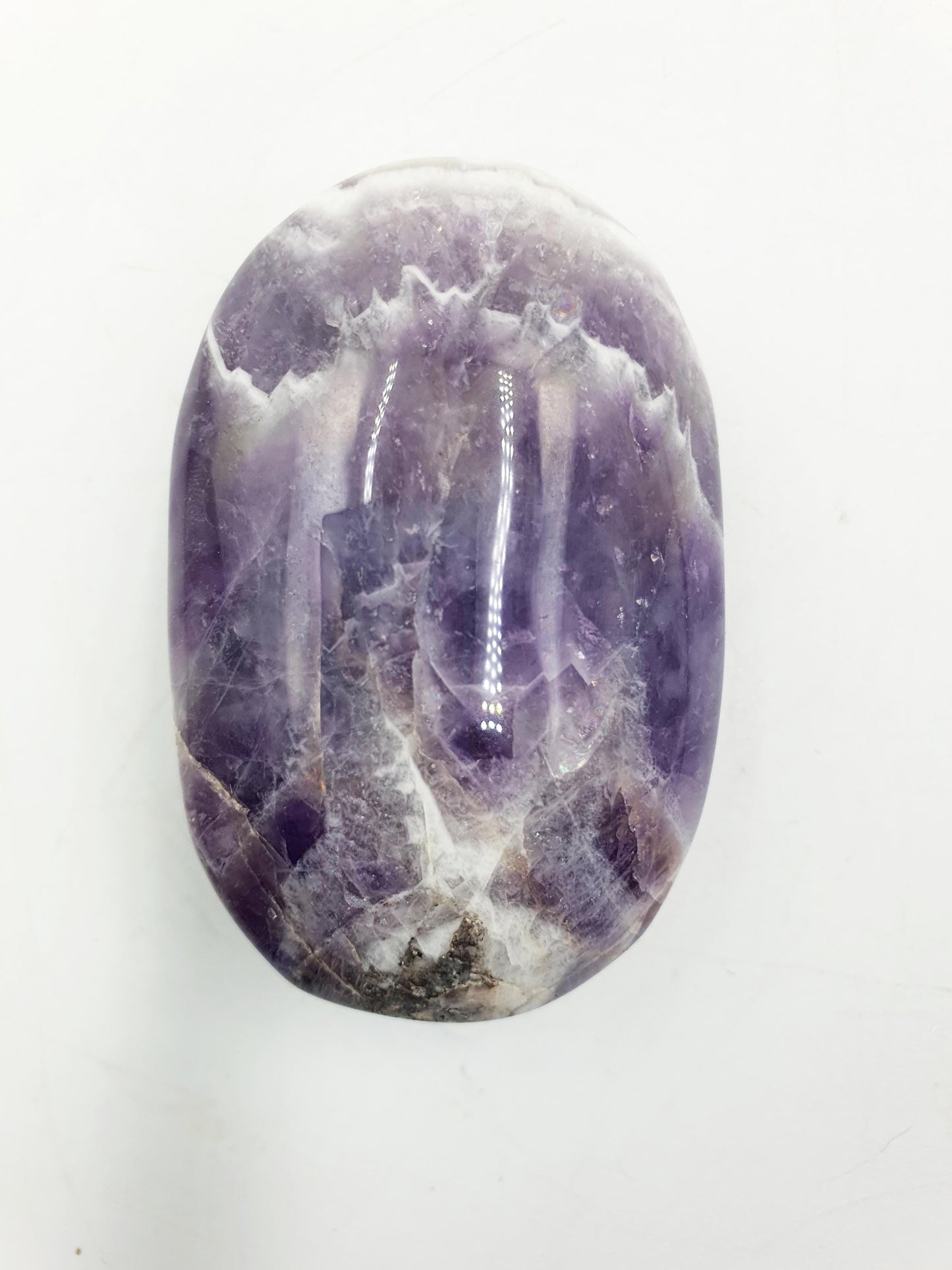 Dream Amethyst Palm