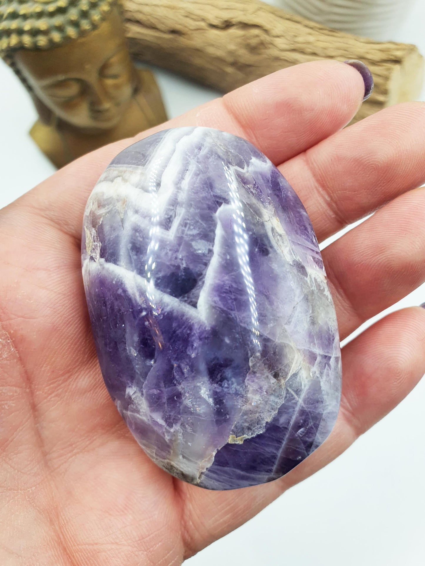 Dream Amethyst Palm