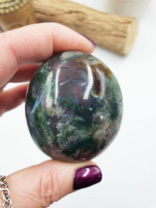 Large Ocean Jasper Palm