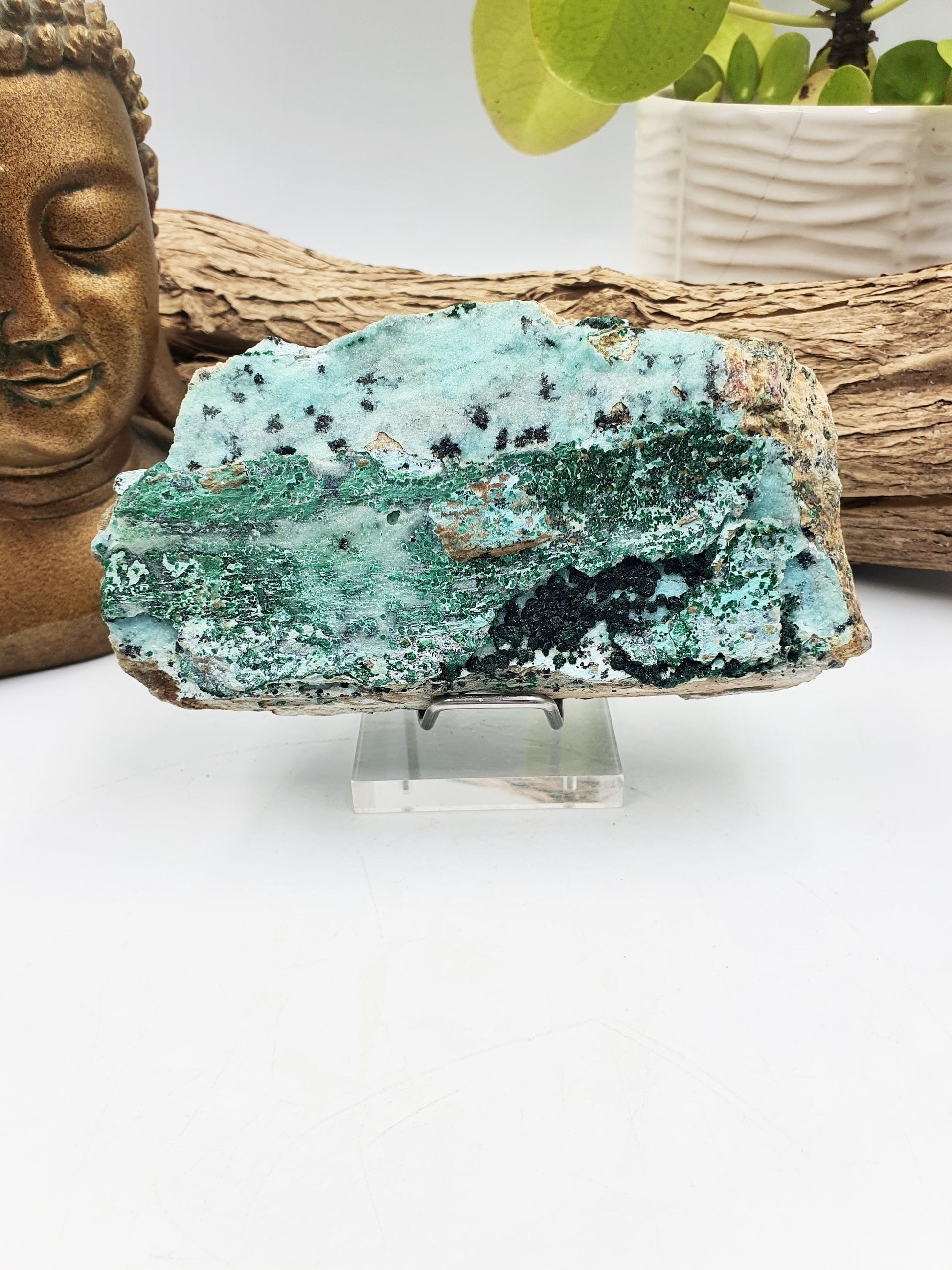 Chrysocolla & Malachite Specimens / Druzy Coated Chrysocolla and Malachite Raw Crystal / Raw Chrysocolla / Raw Malachite / Druzy Crystal