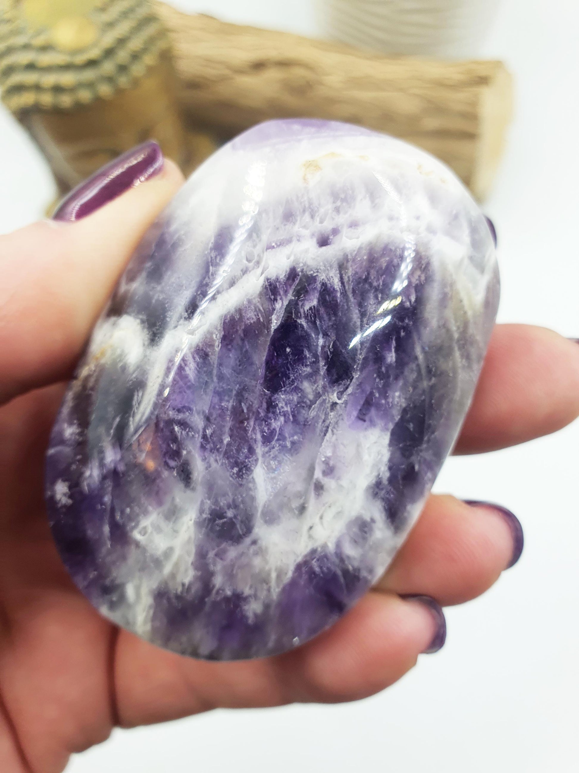 Dream Amethyst Palm