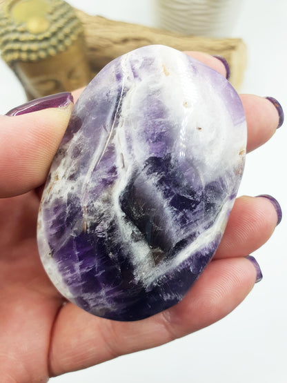 Dream Amethyst Palm