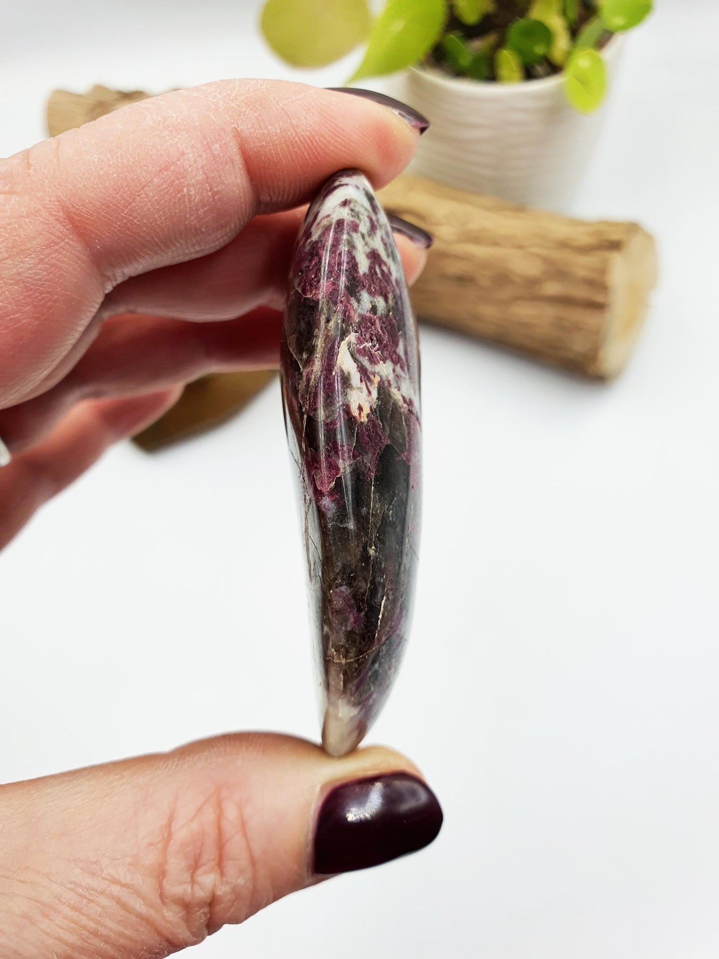 Large Plum Blossom Tourmaline Palm