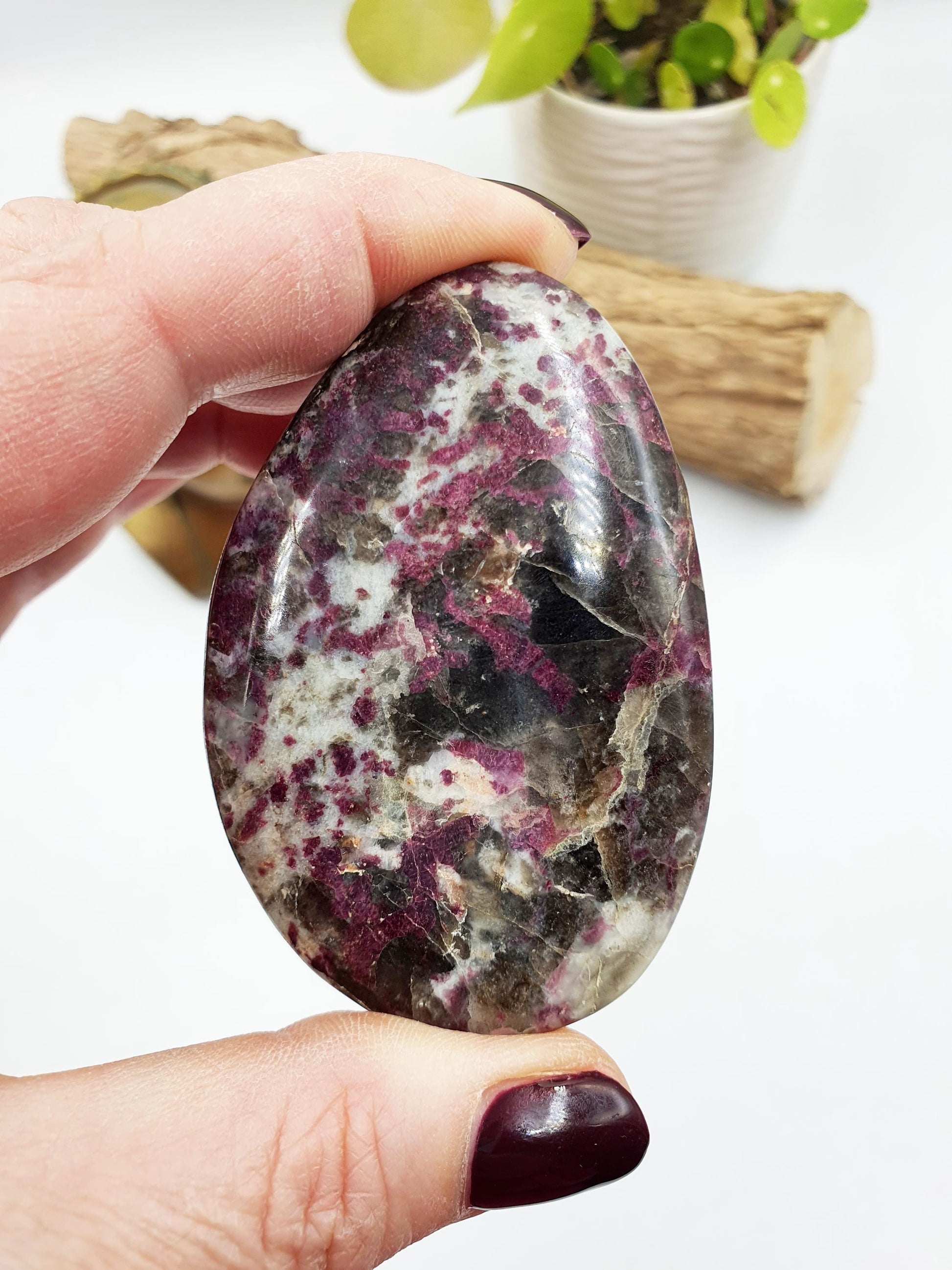 Large Plum Blossom Tourmaline Palm