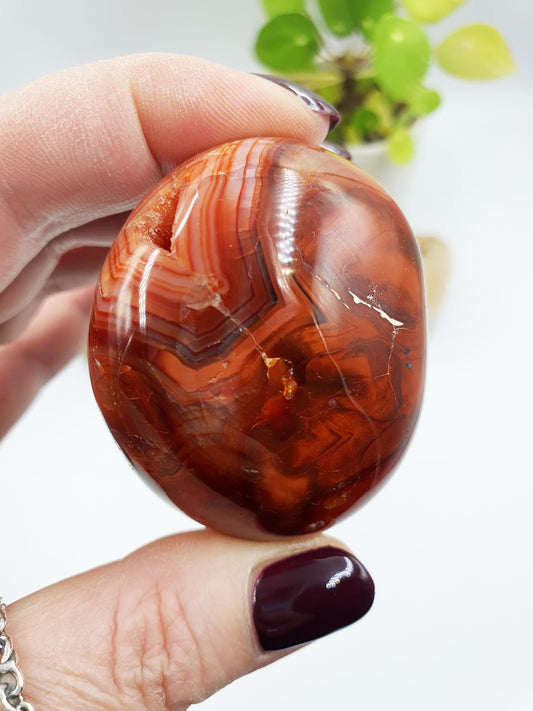 Drusy Carnelian Palm