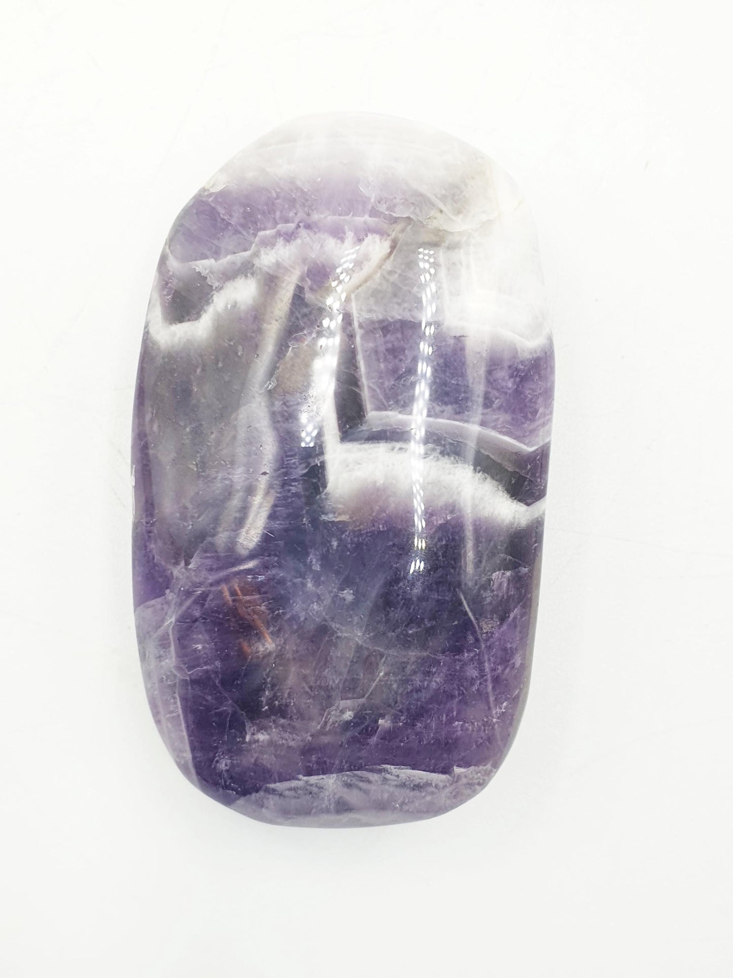 Dream Amethyst Palm