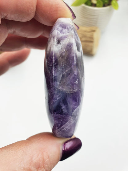 Dream Amethyst Palm