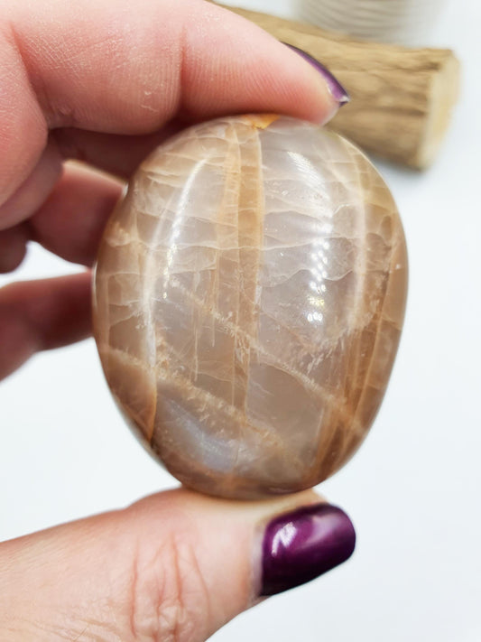 Flashy Moonstone Palm