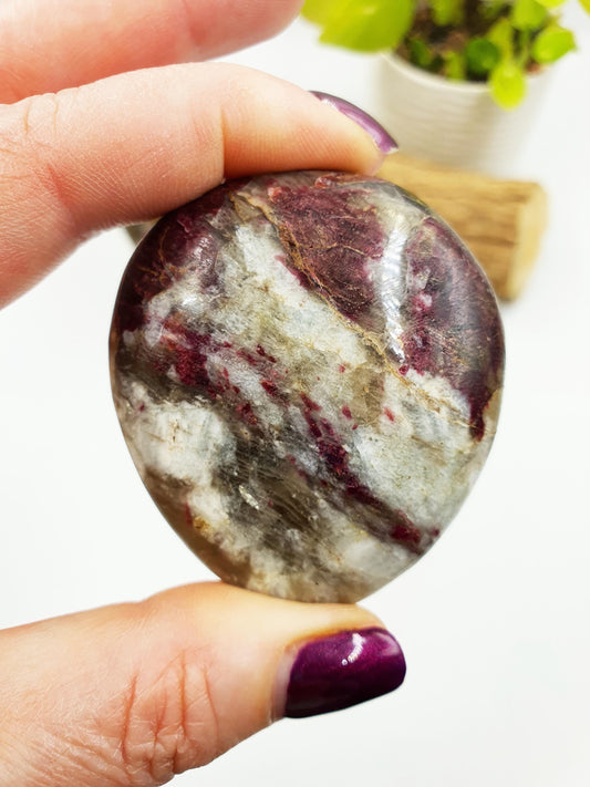 Large Plum Blossom Tourmaline Palm