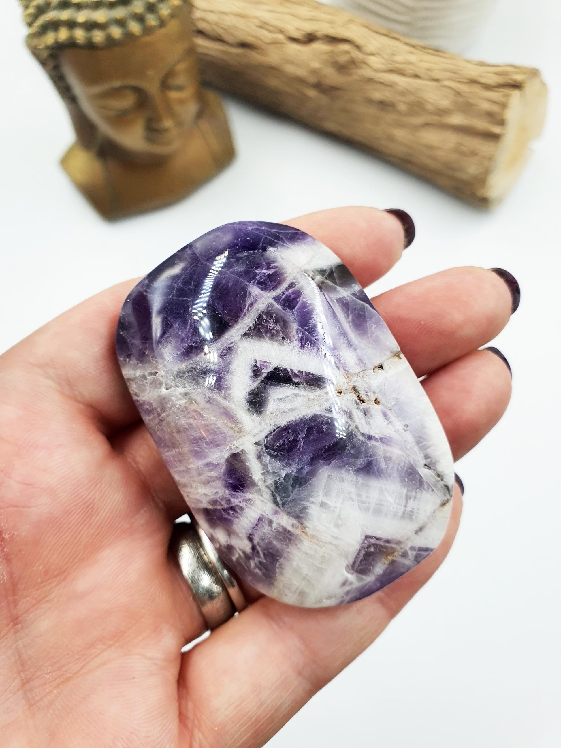 Dream Amethyst Palm