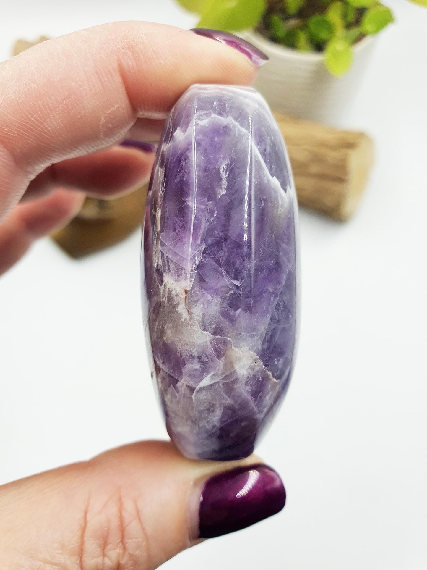 Dream Amethyst Palm