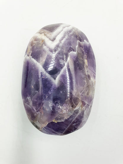 Dream Amethyst Palm