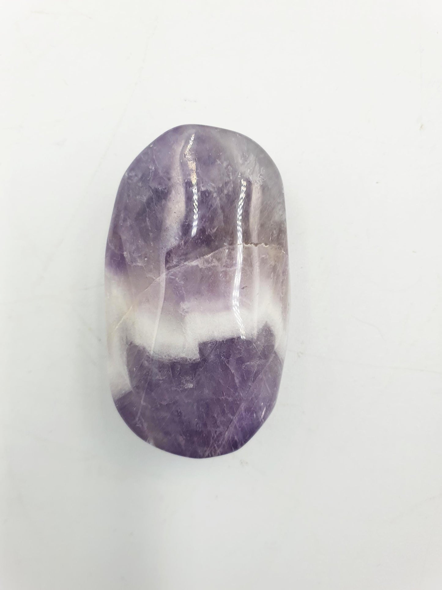 Little Dream Amethyst Palm