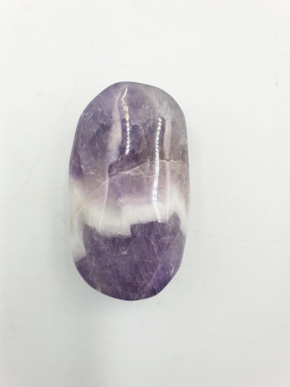 Little Dream Amethyst Palm