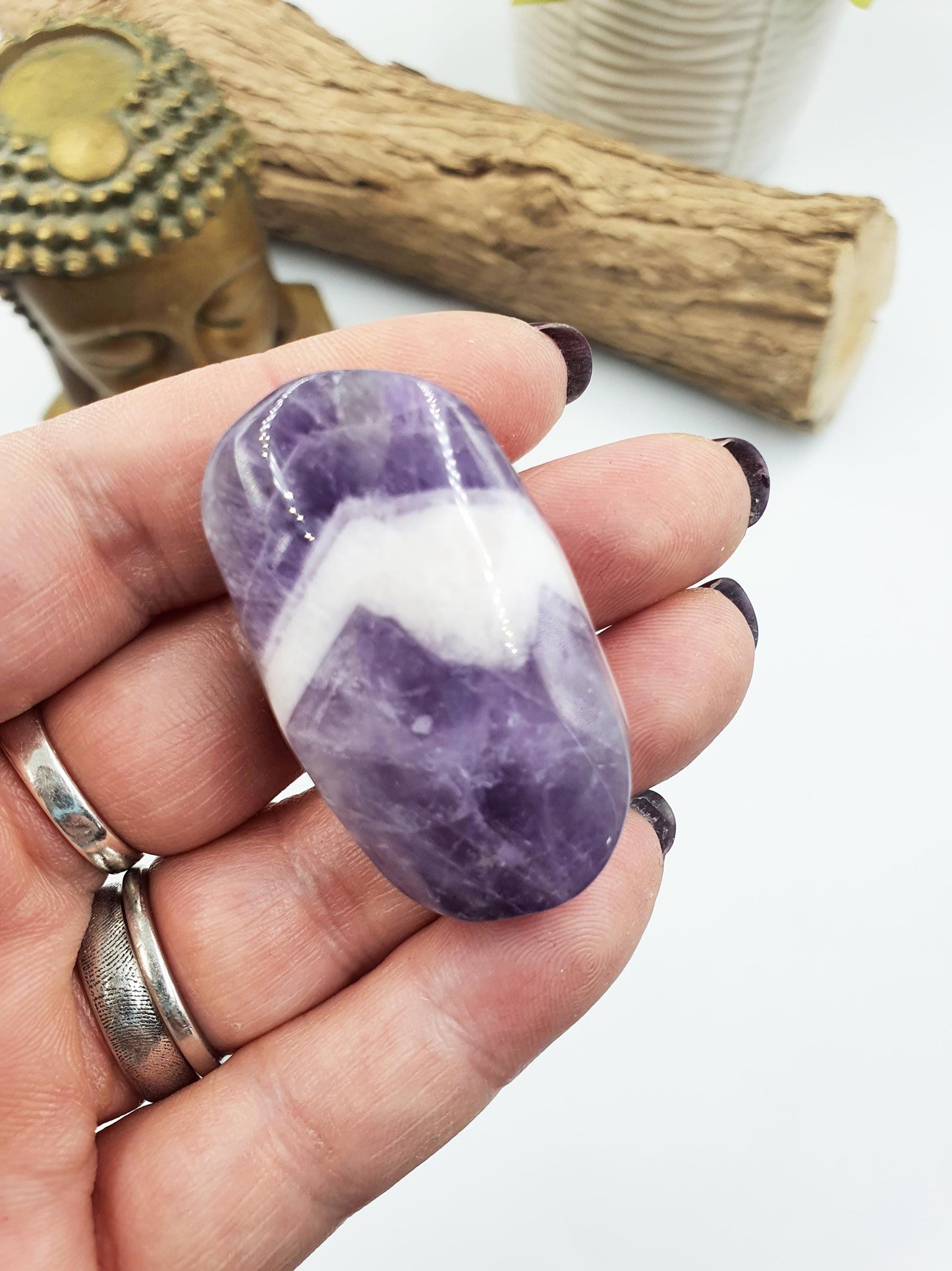 Little Dream Amethyst Palm