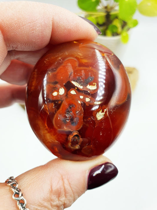 Unique Carnelian Palm