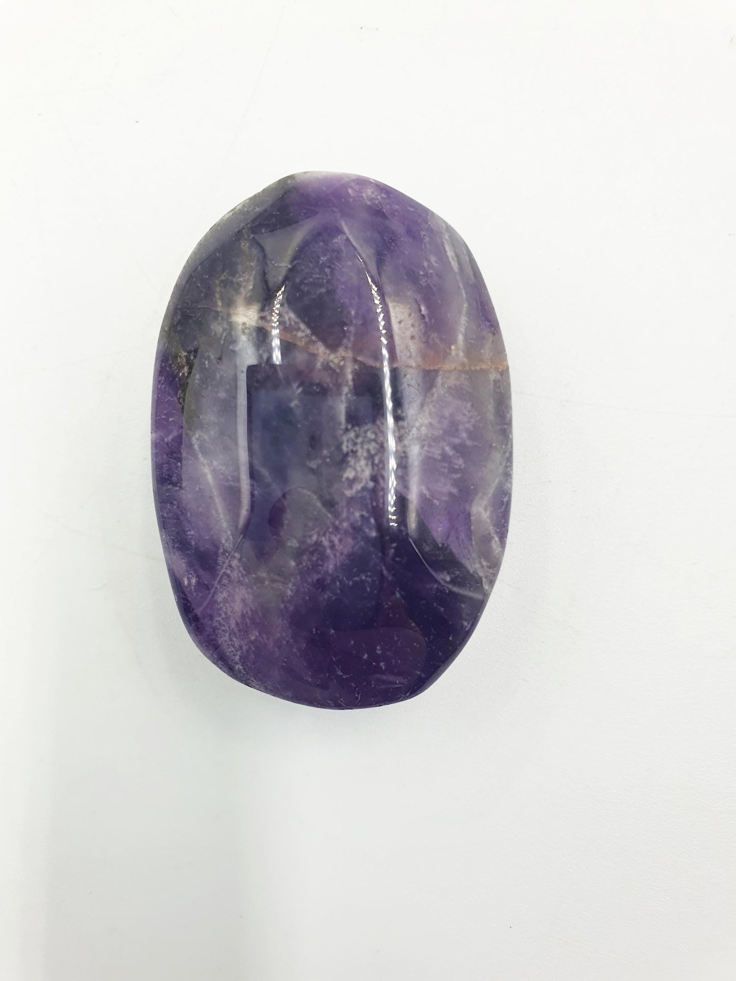 Dream Amethyst Palm