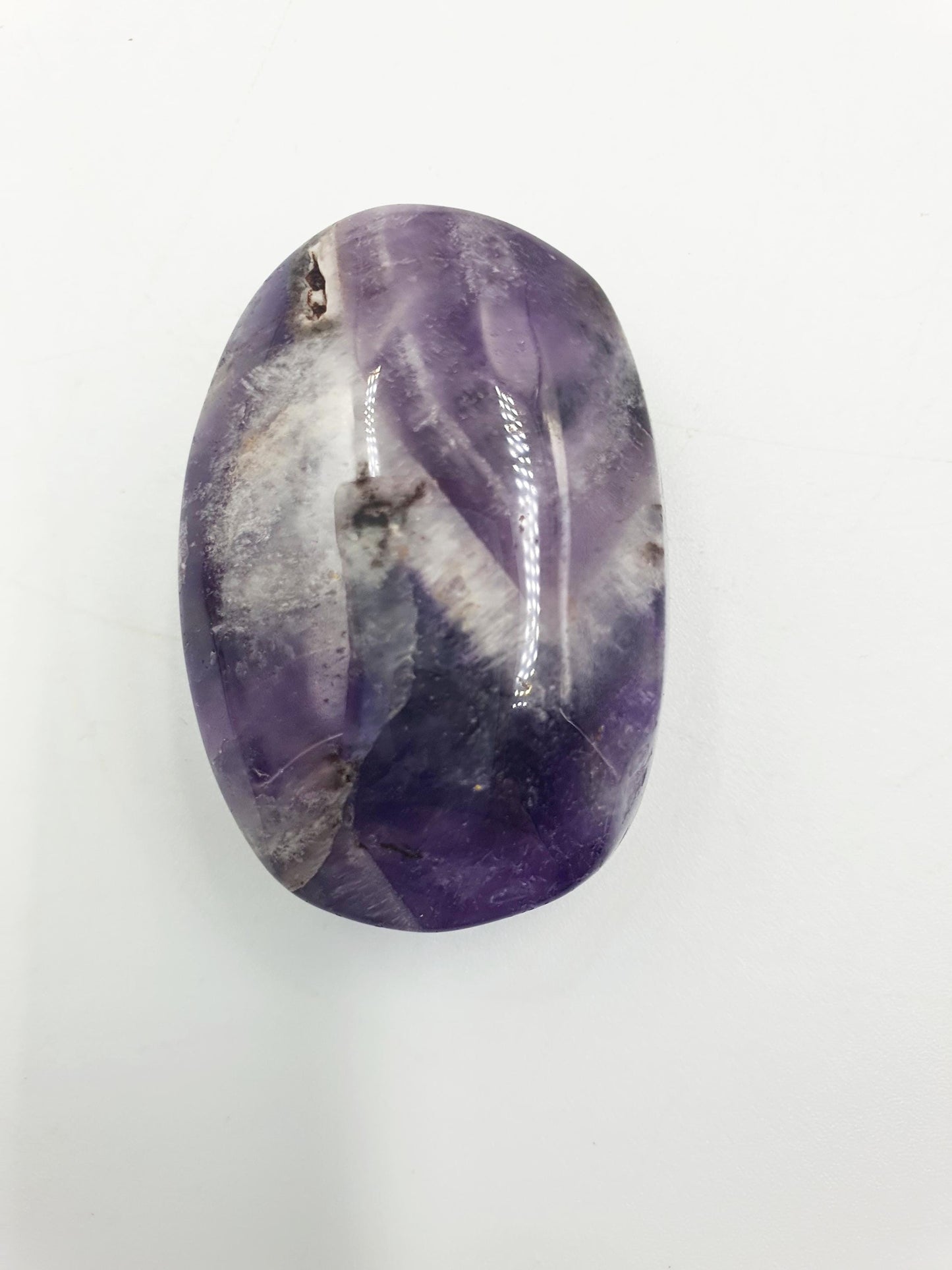 Dream Amethyst Palm